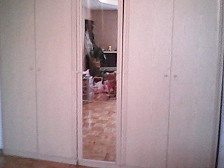 click for enlarge 640 X 480 39.8 Kb picture