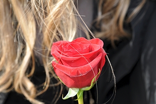 click for enlarge 1072 X 712 480.7 Kb picture