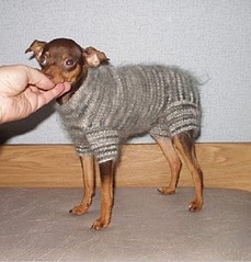 click for enlarge 631 X 660  81.1 Kb picture