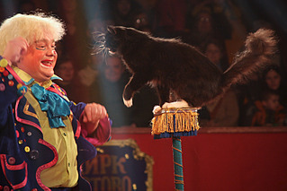 click for enlarge 800 X 533 377.9 Kb picture