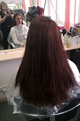 click for enlarge 1728 X 2592 859.3 Kb picture