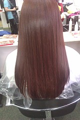 click for enlarge 1728 X 2592 415.5 Kb picture