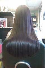 click for enlarge 1728 X 2592 704.2 Kb picture