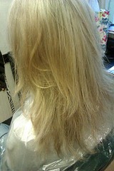 click for enlarge 1728 X 2592 928.8 Kb picture