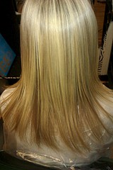 click for enlarge 1728 X 2592 1017.0 Kb picture