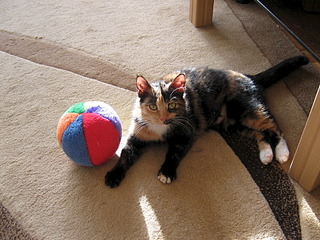 click for enlarge 1920 X 1440 871.0 Kb picture