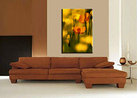 click for enlarge 755 X 542 79.1 Kb picture