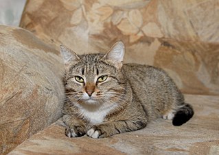 click for enlarge 1280 X 910 212.4 Kb picture