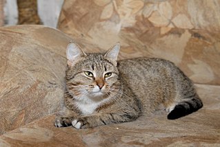 click for enlarge 1280 X 857 202.0 Kb picture