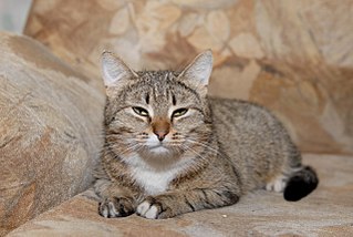 click for enlarge 1280 X 857 195.4 Kb picture