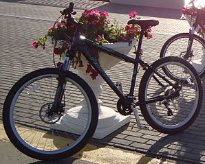 click for enlarge 1294 X 1039 281.7 Kb picture