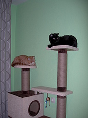 click for enlarge 1920 X 2560 328.2 Kb picture