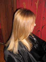 click for enlarge 1704 X 2272 427.1 Kb picture