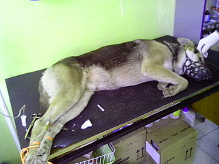 click for enlarge 1920 X 1440 709.1 Kb picture