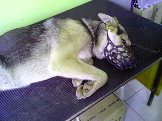 click for enlarge 1920 X 1440 968.9 Kb picture