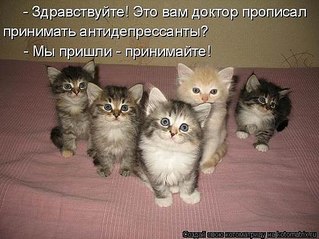 click for enlarge 559 X 419 47.0 Kb picture