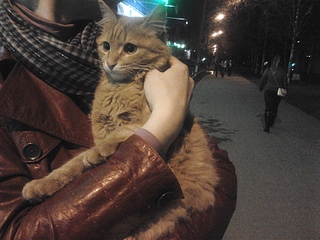 click for enlarge 1920 X 1440 955.1 Kb picture