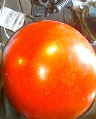 click for enlarge 959 X 1188 131.8 Kb picture