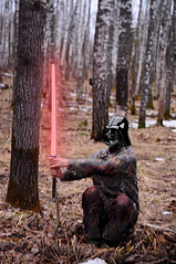 click for enlarge 531 X 800 130.4 Kb picture