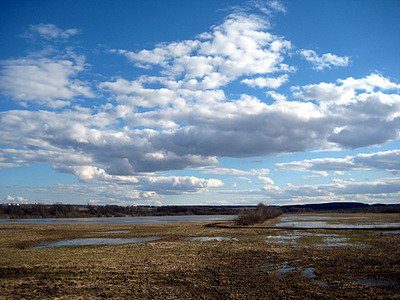 click for enlarge 1024 X 768 302.0 Kb picture