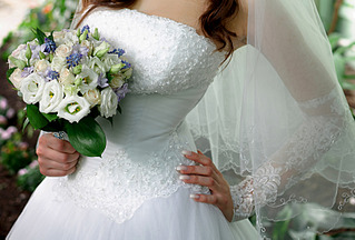 click for enlarge 800 X 541 285.2 Kb picture