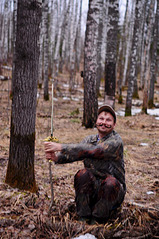 click for enlarge 531 X 800 209.7 Kb picture