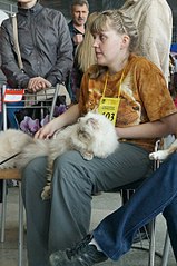 click for enlarge 401 X 604 59.0 Kb picture