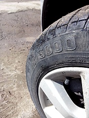 click for enlarge 768 X 1024 290.5 Kb picture