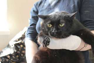 click for enlarge 1920 X 1280 86.0 Kb picture