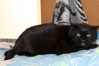 click for enlarge 1920 X 1280 78.3 Kb picture