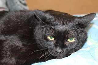 click for enlarge 1920 X 1280 142.3 Kb picture