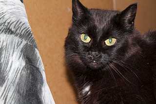 click for enlarge 1920 X 1280 204.4 Kb picture