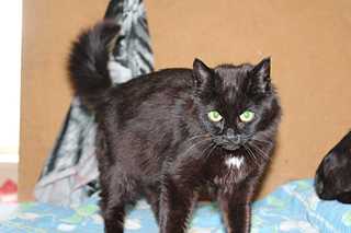 click for enlarge 1920 X 1280 99.7 Kb picture