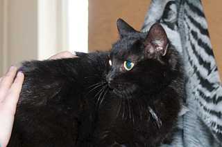 click for enlarge 1920 X 1280 94.7 Kb picture