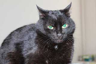 click for enlarge 1920 X 1280 178.6 Kb picture