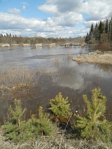click for enlarge 750 X 1000 371.9 Kb picture