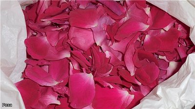click for enlarge 640 X 360 45.2 Kb picture