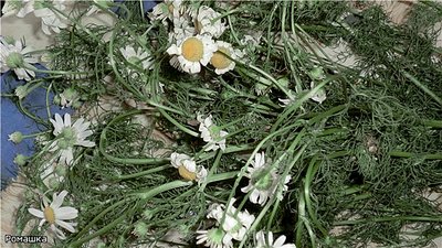 click for enlarge 640 X 360 86.6 Kb picture