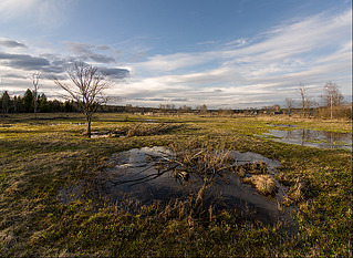 click for enlarge 901 X 658 399.7 Kb picture
