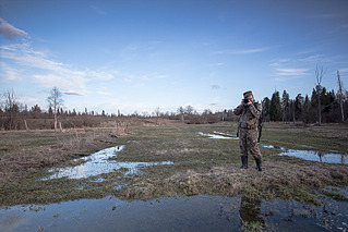 click for enlarge 800 X 533 182.5 Kb picture