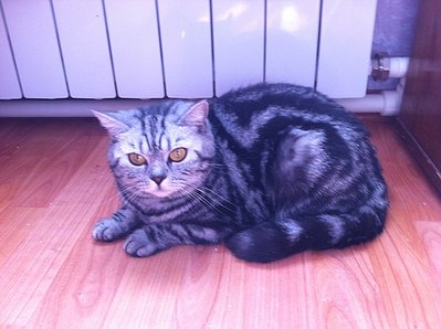 click for enlarge 604 X 451 48.7 Kb picture