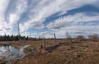 click for enlarge 900 X 584 284.3 Kb picture