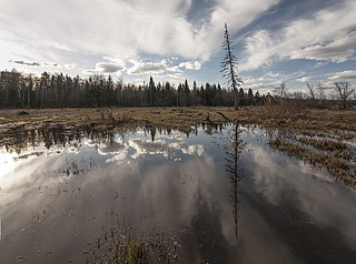 click for enlarge 900 X 670 263.2 Kb picture