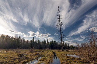 click for enlarge 800 X 531 140.2 Kb picture