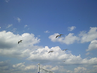 click for enlarge 1920 X 1440 475.4 Kb picture