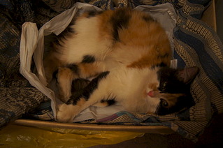 click for enlarge 1920 X 1275 502.6 Kb picture