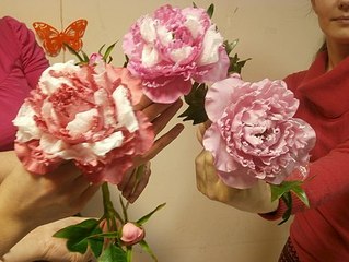 click for enlarge 510 X 383 41.4 Kb picture