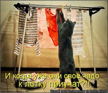 click for enlarge 600 X 518 61.9 Kb picture