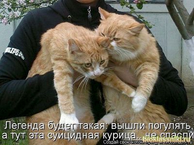 click for enlarge 596 X 446 52.2 Kb picture