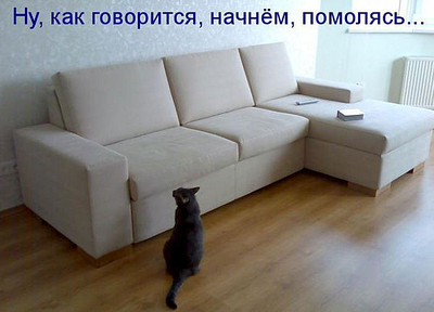 click for enlarge 600 X 432 52.4 Kb picture